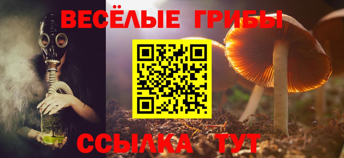 Бугуруслан  Псилоцибиновые грибы прущие грибы  Вход с VPN  купить  цена  Псилоцибиновые грибы GOLDEN TEACHER 